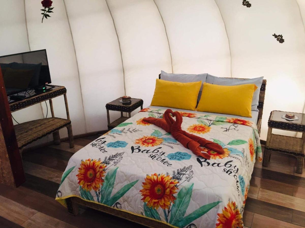 Shenanigans Glamping Resort Zamboanguita  Exteriér fotografie